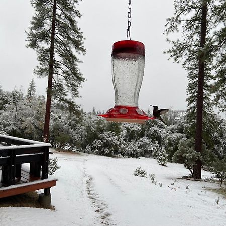 Sierra Trails Retreat Villa Mariposa Dış mekan fotoğraf