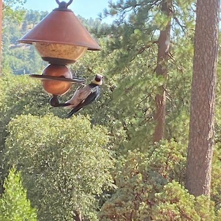 Sierra Trails Retreat Villa Mariposa Dış mekan fotoğraf